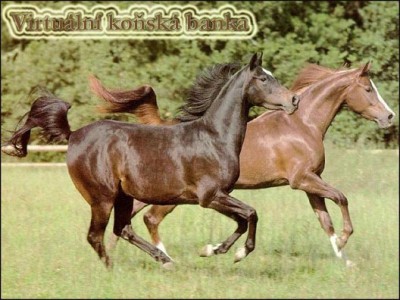 Obrazek